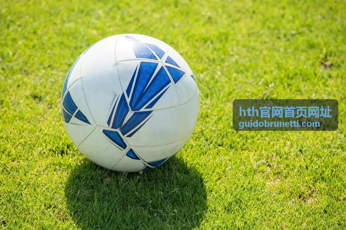 hth官网首页网址页面加载缓慢排查说明封面