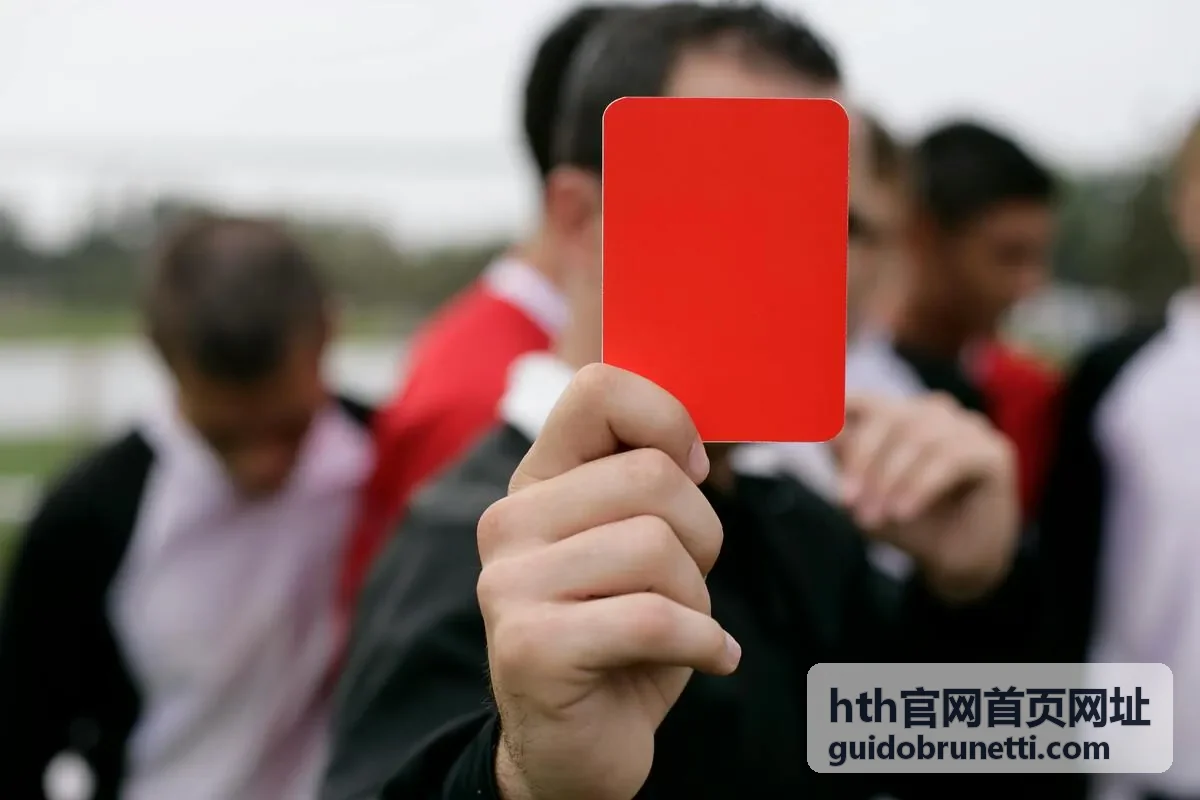 hth官网首页网址内容整理与资料查阅场景配图